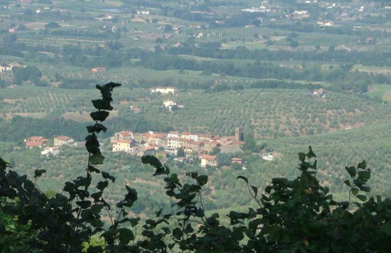 Podere Calistri Larciano Экстерьер фото